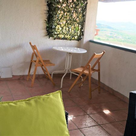 Apartments Garden Motovun Rum bild