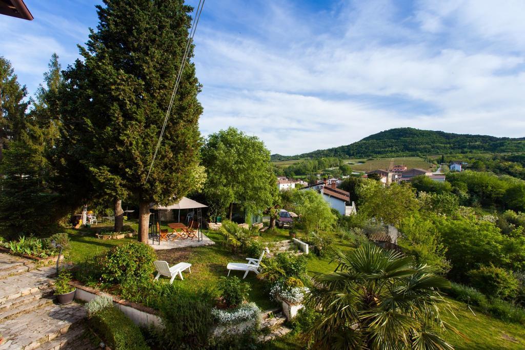 Apartments Garden Motovun Rum bild